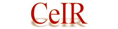 e-Revista CLÍNICA e INVESTIGACIÓN RELACIONAL